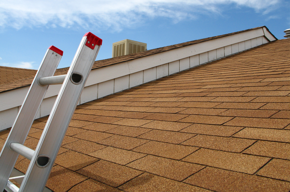 Fall Roof Inspection Tips; Schedule Your Appointment Now