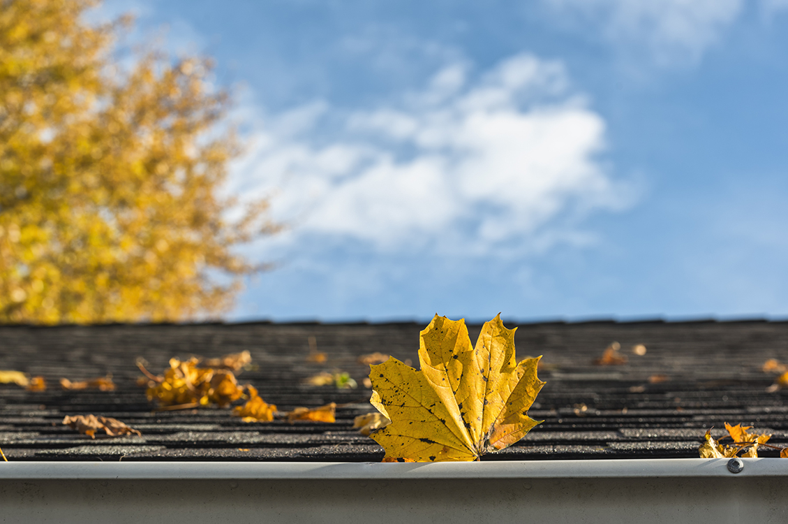Fall Leaves- Roofing, Siding | Dick's Roof Repair
