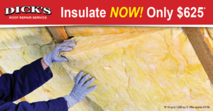 Dick's Insulation Special