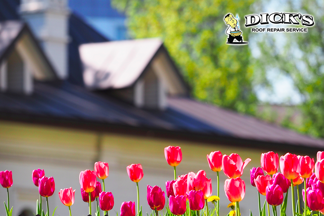 Spring Ahead and Let the Experts at Dick’s Roof Repair Help with your Roof Project