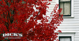 Fall is Perfect Time to Update Your Siding