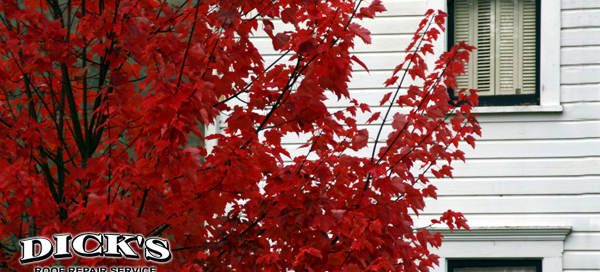 Fall Is Perfect Time To Update Your Siding