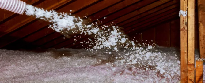 Dicks Attic 7signs Featured