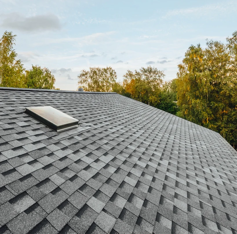 Dicks New Roof Sidebar New